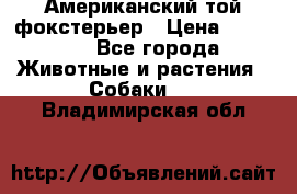 Американский той фокстерьер › Цена ­ 25 000 - Все города Животные и растения » Собаки   . Владимирская обл.